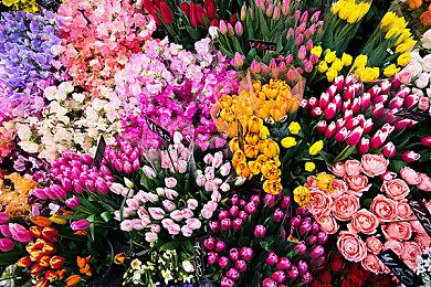 《堕落之主》开发者介绍游戏独特“双重世界”机制