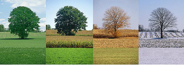 《生化危机4：重制版》新动图 里昂帅气打寄生虫